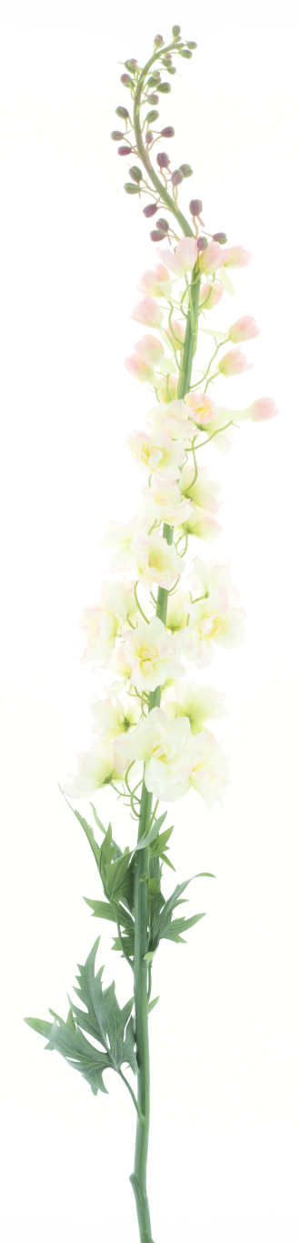 https://cdn.warentuin.nl/media/catalog/product/S/C/SCAN8505495613084_giant_delphinium_spray_linus_cream_pink_137cm_db90.png