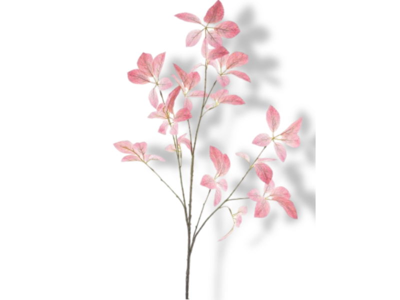 https://cdn.warentuin.nl/media/catalog/product/S/C/SCAN8505496308071_01_buitengewoon_de_boet_kunsttak_star_leaf_bran_31c7.jpg