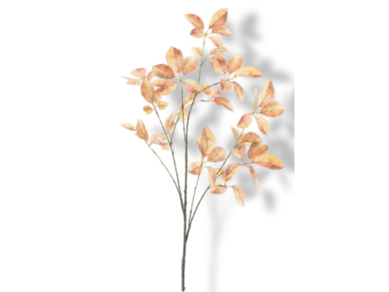 https://cdn.warentuin.nl/media/catalog/product/S/C/SCAN8505496308088_01_buitengewoon_de_boet_kunsttak_star_leaf_bran_7852.jpg