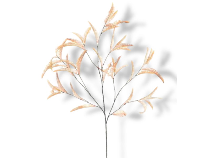 https://cdn.warentuin.nl/media/catalog/product/S/C/SCAN8505496321087_01_buitengewoon_de_boet_kunsttak_pictum_fern_br_97e7.jpg