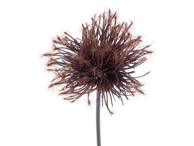 Kunstbloem sedum flocked red, 48 cm - Hortus