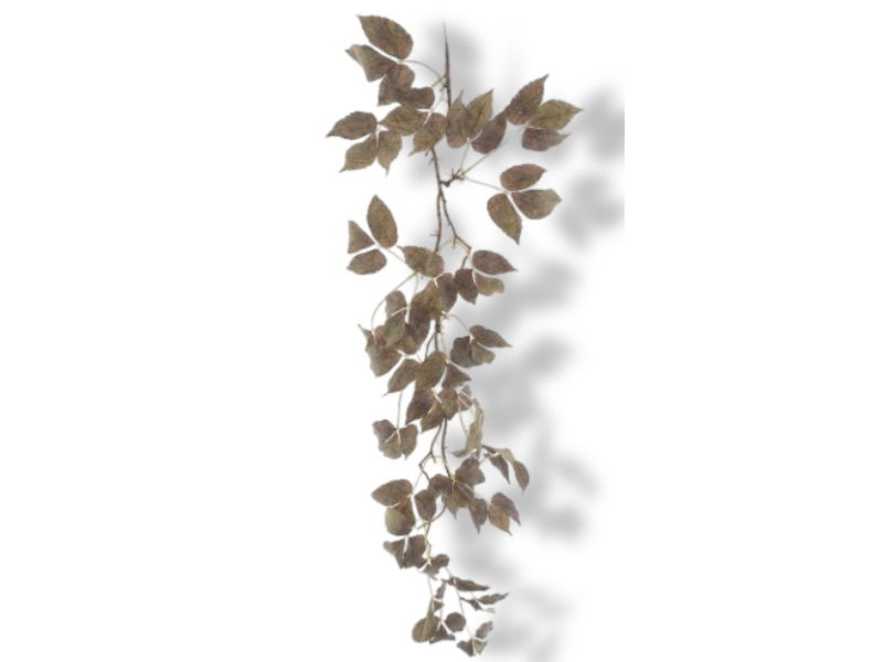 https://cdn.warentuin.nl/media/catalog/product/S/C/SCAN8505496608010_01_buitengewoon_de_boet_kunsttak_mountain_leaf__c8b0.jpg