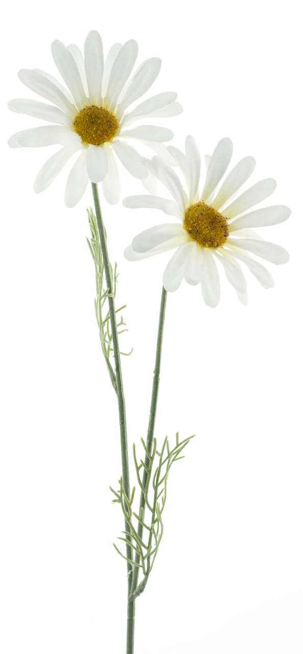 https://cdn.warentuin.nl/media/catalog/product/S/C/SCAN8505496863006_nova_nature_kunstbloemen_daisy_cordoba_spray_wh_5479.png