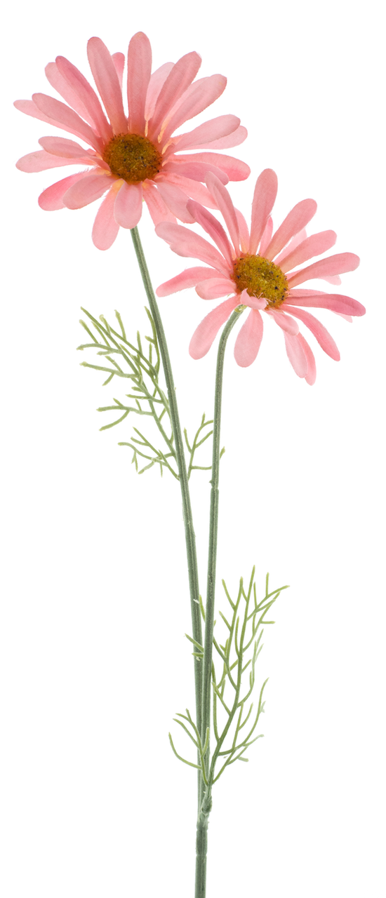 https://cdn.warentuin.nl/media/catalog/product/S/C/SCAN8505496863075_nova_nature_kunstbloemen_daisy_cordoba_spray_pi_7003.png