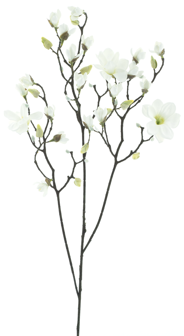 https://cdn.warentuin.nl/media/catalog/product/S/C/SCAN8505496907007_nova_nature_kunstbloemen_magnolia_branche_osaka_ebaf.png