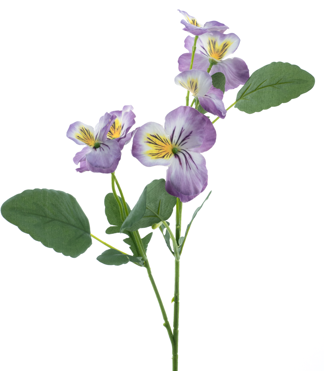 https://cdn.warentuin.nl/media/catalog/product/S/C/SCAN8505496912063_nova_nature_kunstbloemen_pansy_spray_purple_65__87c4.png