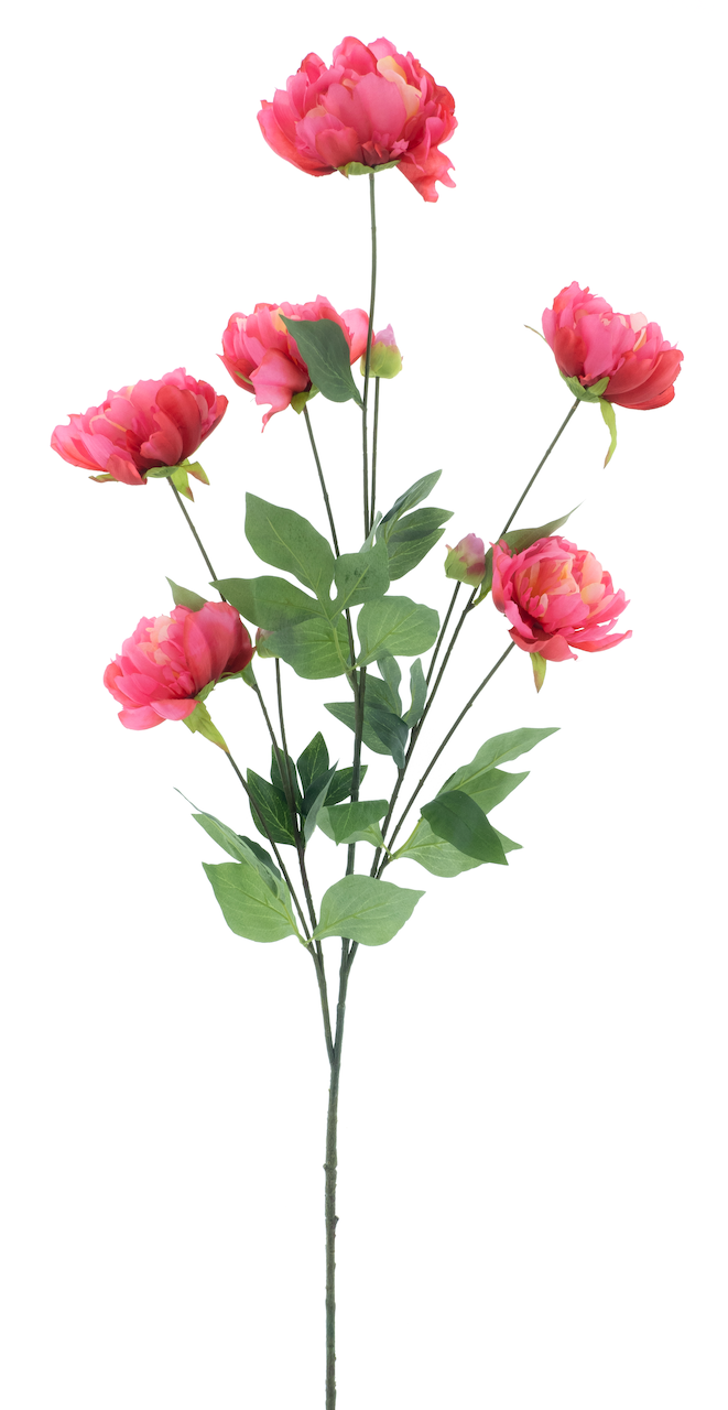 https://cdn.warentuin.nl/media/catalog/product/S/C/SCAN8505496916030_nova_nature_kunstbloemen_paeony_spray_sapporo_f_9971.png