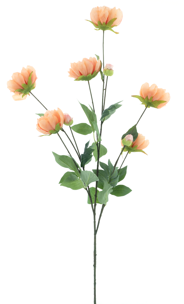 https://cdn.warentuin.nl/media/catalog/product/S/C/SCAN8505496916054_nova_nature_kunstbloemen_paeony_spray_sapporo_p_99a8.png