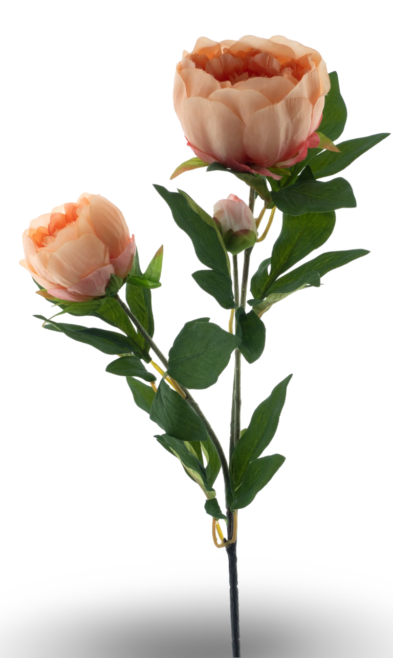https://cdn.warentuin.nl/media/catalog/product/S/C/SCAN8505496922055_01_fd9a.png