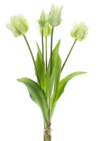 https://cdn.warentuin.nl/media/catalog/product/S/C/SCAN8505496963003_bosje_kunst_tulpen_parrot_tulp_duchesse_x5_cream_40_cm_buiten_7955.png