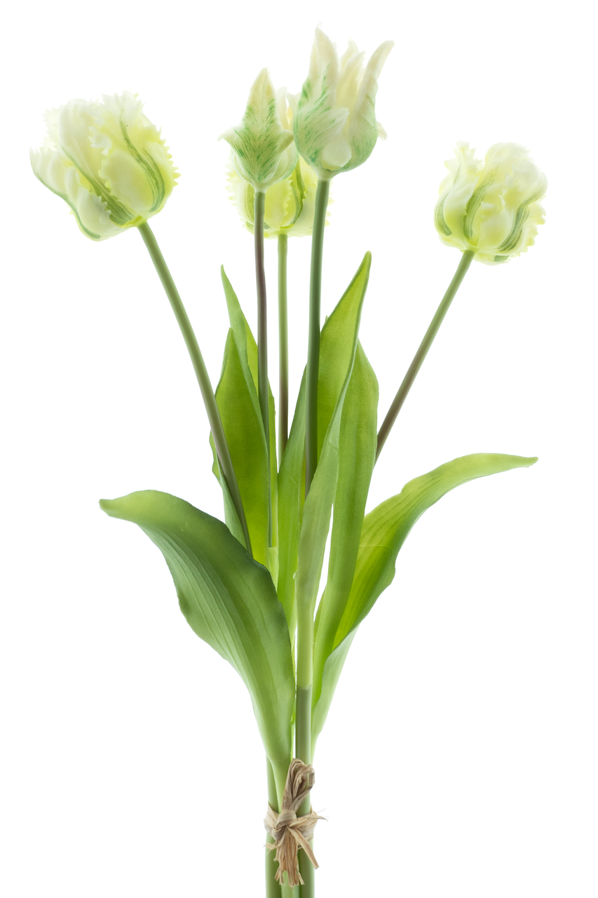 https://cdn.warentuin.nl/media/catalog/product/S/C/SCAN8505496963003_nova_nature_kunstbloemen_parrot_tulip_bundle_sa_4994.png