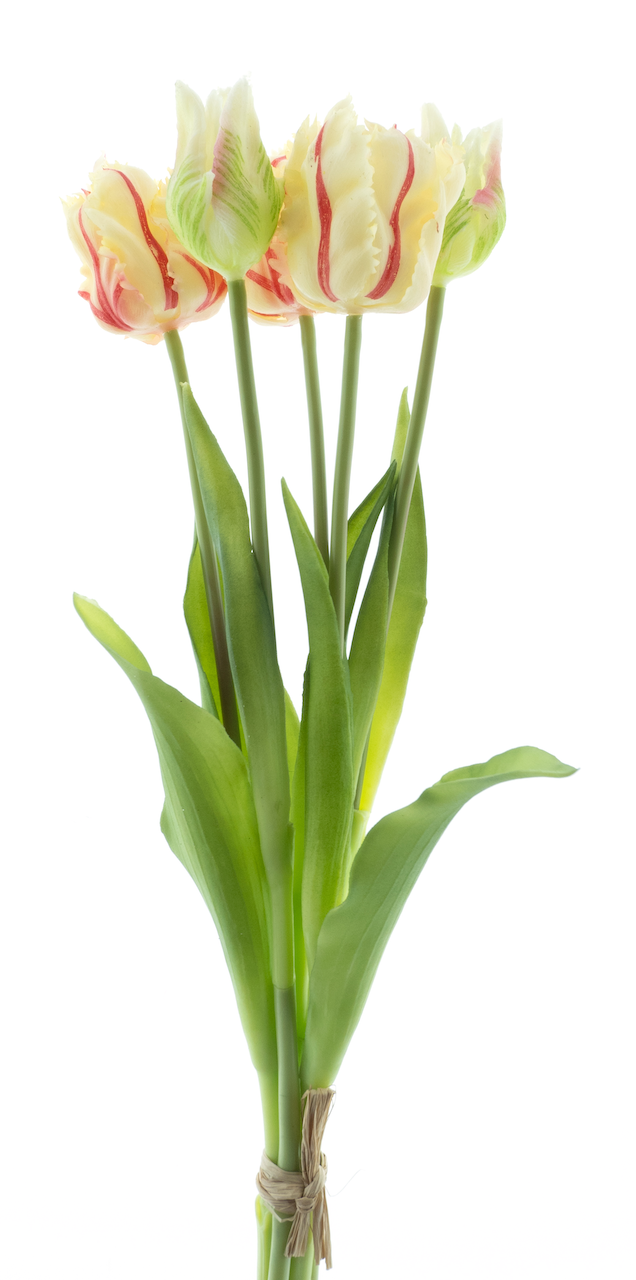 https://cdn.warentuin.nl/media/catalog/product/S/C/SCAN8505496963034_nova_nature_kunstbloemen_parrot_tulip_bundle_sa_1cff.png