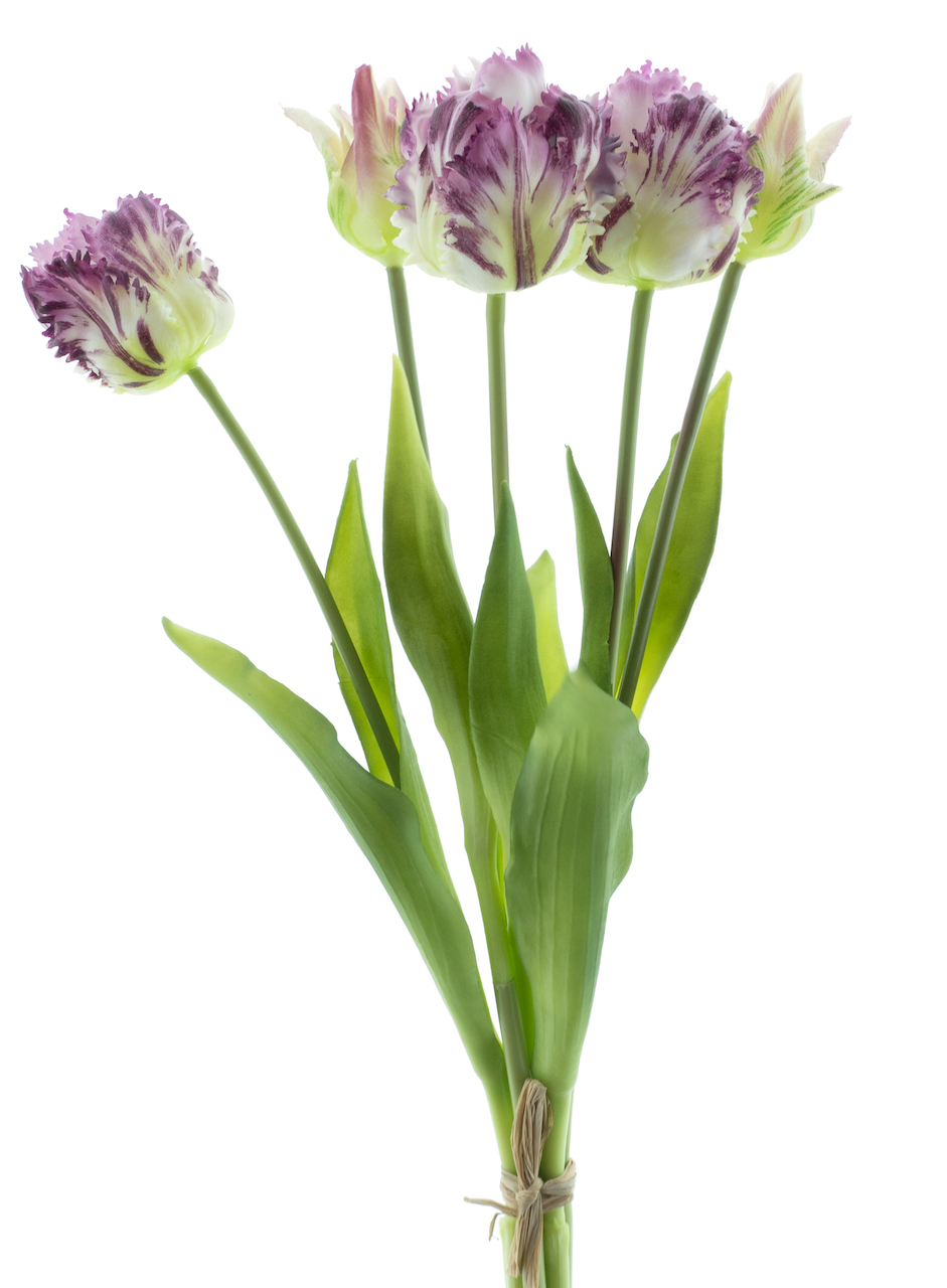 https://cdn.warentuin.nl/media/catalog/product/S/C/SCAN8505496963065_nova_nature_kunstbloemen_parrot_tulip_bundle_sa_5ea9.png