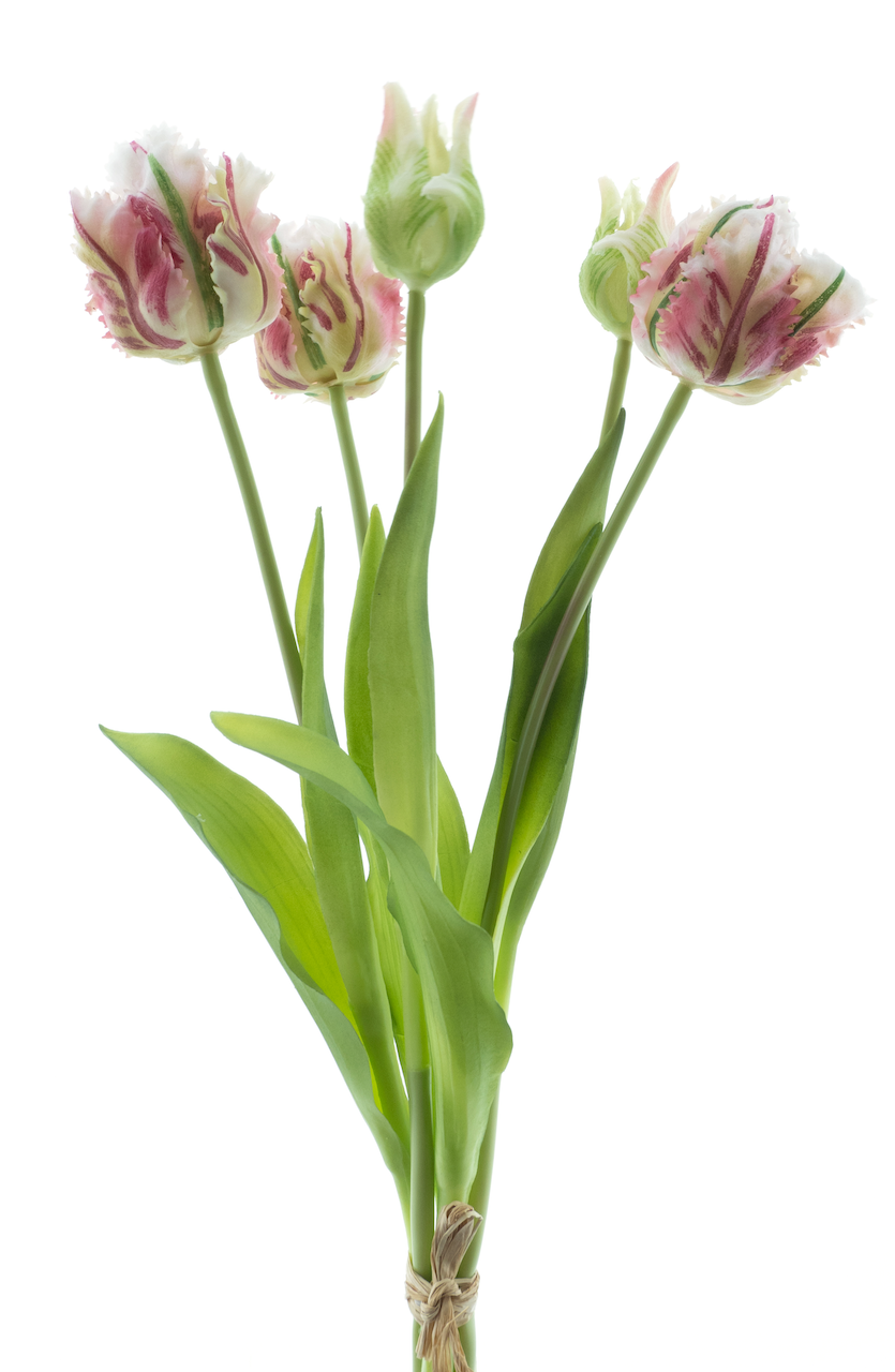 https://cdn.warentuin.nl/media/catalog/product/S/C/SCAN8505496963072_nova_nature_kunstbloemen_parrot_tulip_bundle_sa_62f1.png