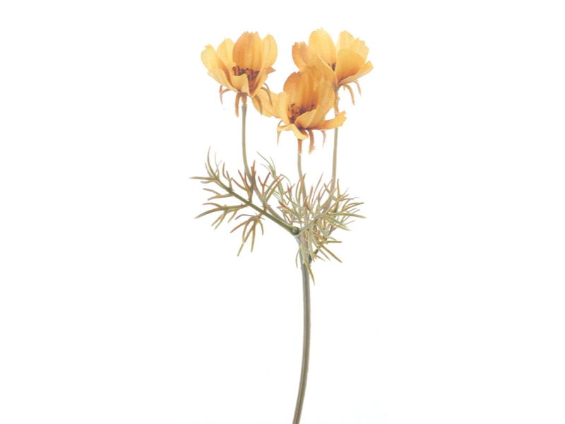 Kunstbloem cosmos yellow, 28 cm - Hortus
