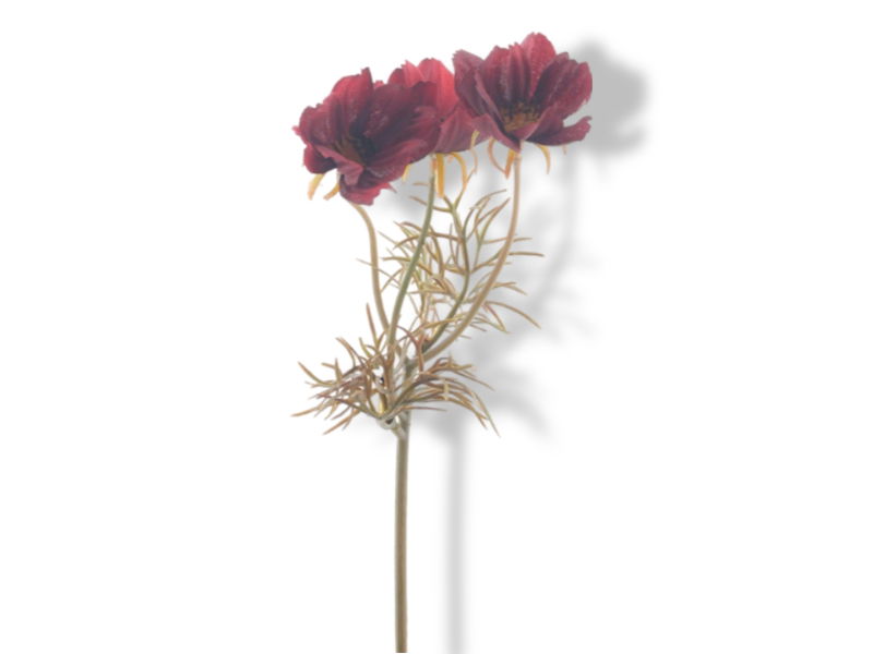 https://cdn.warentuin.nl/media/catalog/product/S/C/SCAN8505497056032_01_hortus_kunstbloem_kunstbloem_cosmos_burgundy_28_13ca.jpg