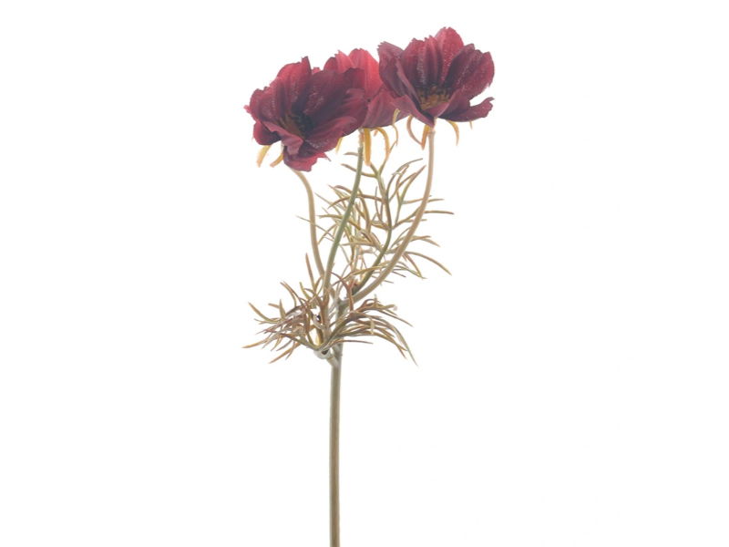 https://cdn.warentuin.nl/media/catalog/product/S/C/SCAN8505497056032_hortus_kunstbloem_kunstbloem_cosmos_burgundy_28_7286.jpg