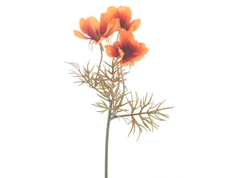 Kunstbloem cosmos orange, 28 cm - Hortus