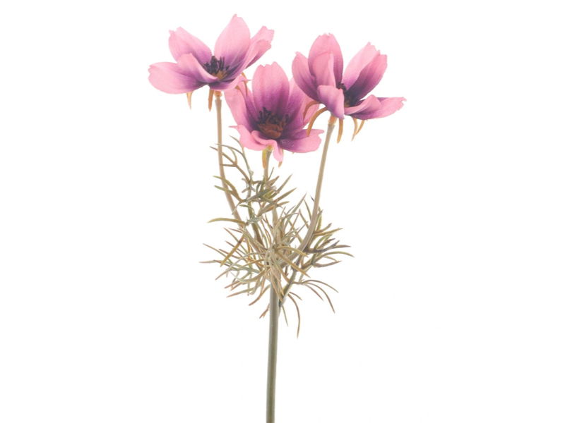 Kunstbloem cosmos dark pink, 28 cm - Hortus