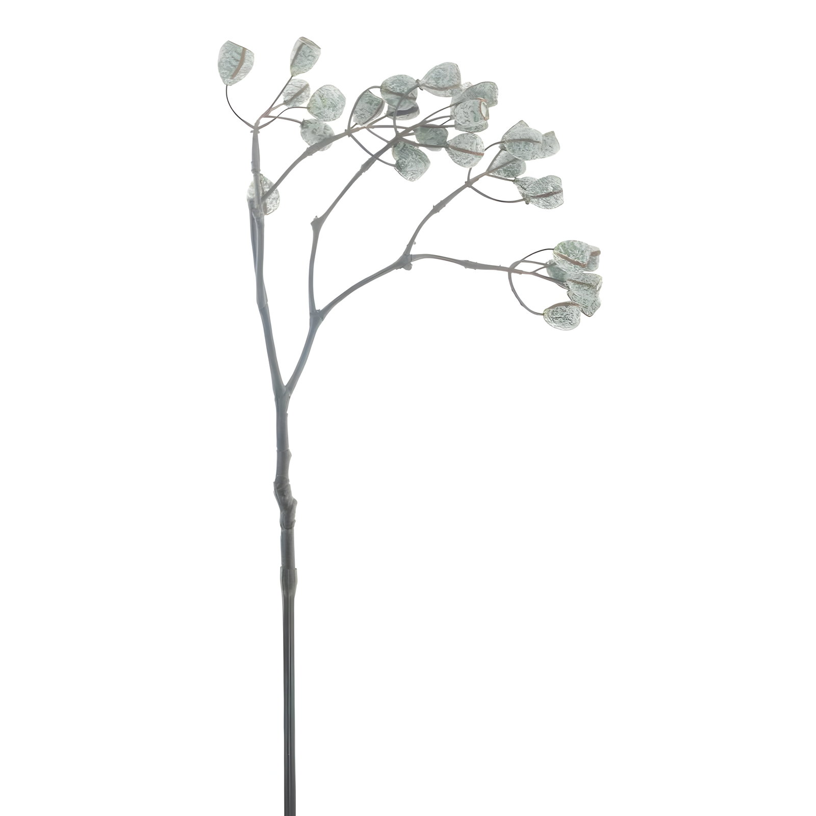 https://cdn.warentuin.nl/media/catalog/product/S/C/SCAN8505497122003_sifang_fruit_spray_creme_68_cm_kunsttak_bu_ae4b.jpg