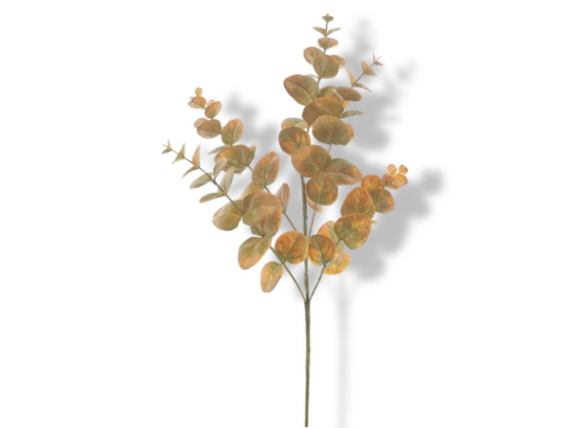 https://cdn.warentuin.nl/media/catalog/product/S/C/SCAN8505497148027_01_hortus_kunstbloem_kunsttak_eucalyptus_monica_ye_4f1d.jpg