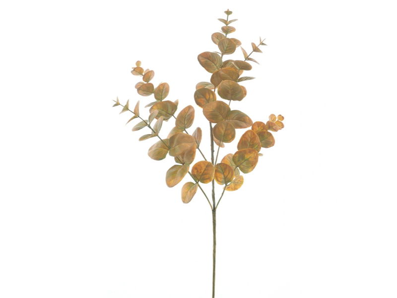 https://cdn.warentuin.nl/media/catalog/product/S/C/SCAN8505497148027_hortus_kunstbloem_kunsttak_eucalyptus_monica_ye_32fe.jpg