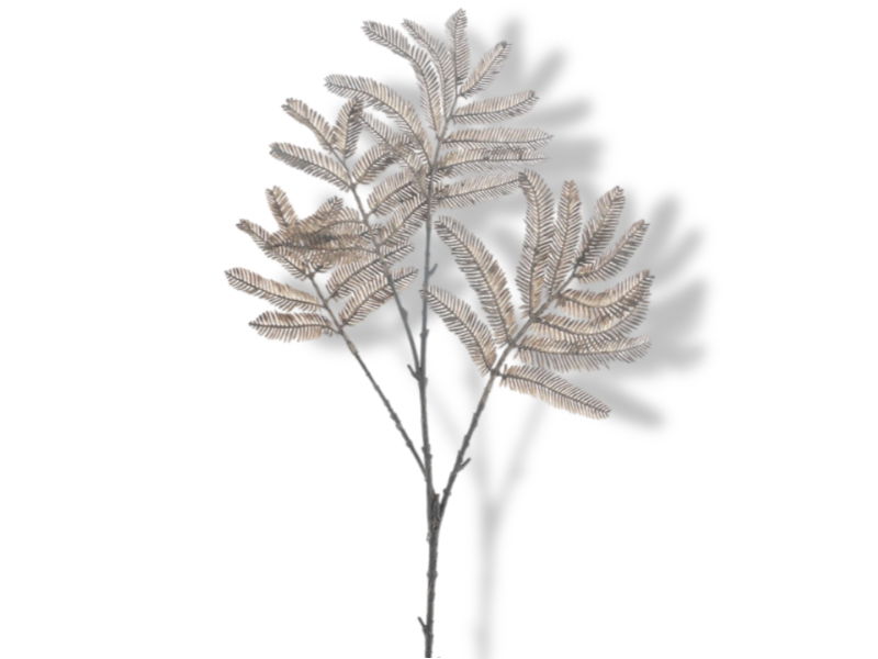 https://cdn.warentuin.nl/media/catalog/product/S/C/SCAN8505497163082_01_hortus_kunstbloem_kunsttak_mimosa_brown_63_cm_4c20.jpg