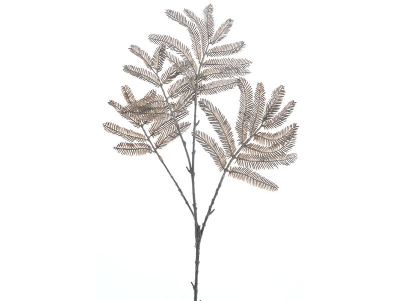 https://cdn.warentuin.nl/media/catalog/product/S/C/SCAN8505497163082_hortus_kunstbloem_kunsttak_mimosa_brown_63_cm_664b.jpg