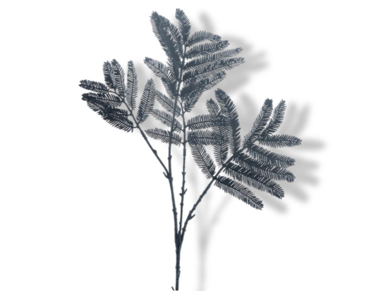 https://cdn.warentuin.nl/media/catalog/product/S/C/SCAN8505497163099_01_hortus_kunstbloem_kunsttak_mimosa_black_63_cm_6a76.jpg