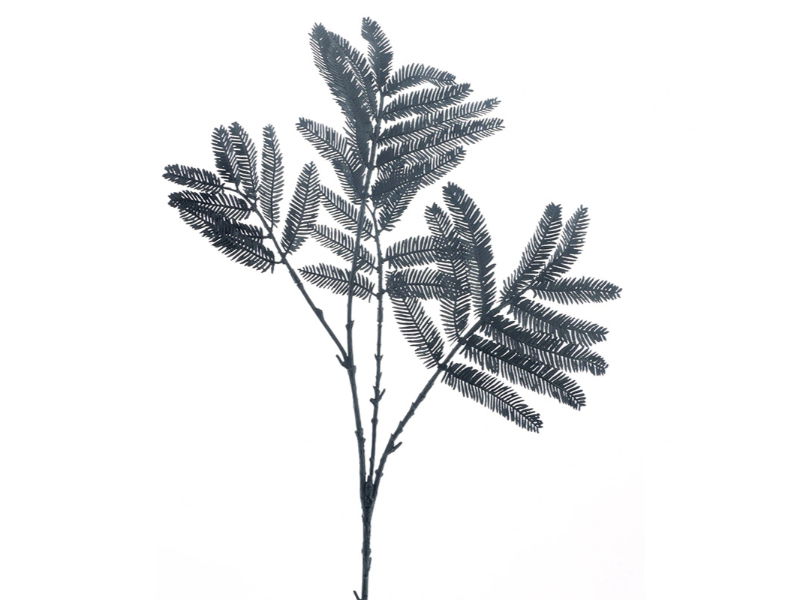 https://cdn.warentuin.nl/media/catalog/product/S/C/SCAN8505497163099_hortus_kunstbloem_kunsttak_mimosa_black_63_cm_222f.jpg