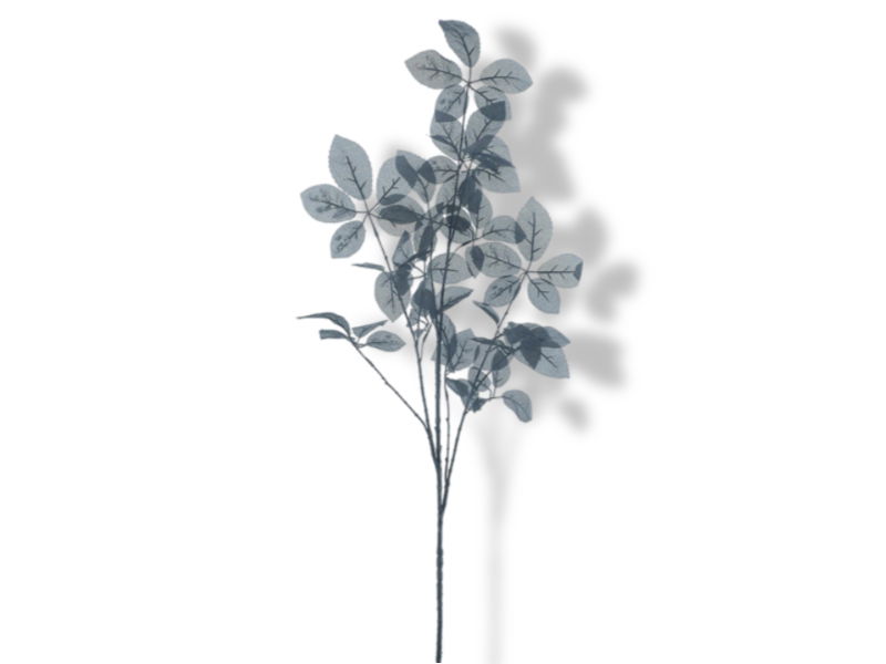 https://cdn.warentuin.nl/media/catalog/product/S/C/SCAN8505497327095_01_hortus_kunstbloem_kunsttak_leaf_hakan_black_128_72e3.jpg