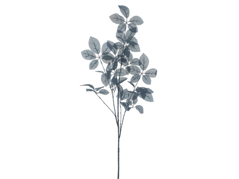 https://cdn.warentuin.nl/media/catalog/product/S/C/SCAN8505497327095_hortus_kunstbloem_kunsttak_leaf_hakan_black_128_9ff4.jpg