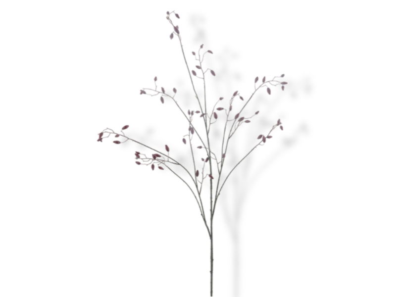https://cdn.warentuin.nl/media/catalog/product/S/C/SCAN8505497345068_01_hortus_kunstbloem_kunsttak_rosehip_ingo_burgund_5567.jpg