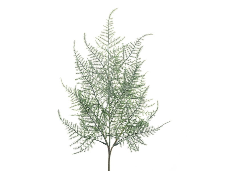 Kunsttak plumosa asparagus frosted, 65 cm - Hortus