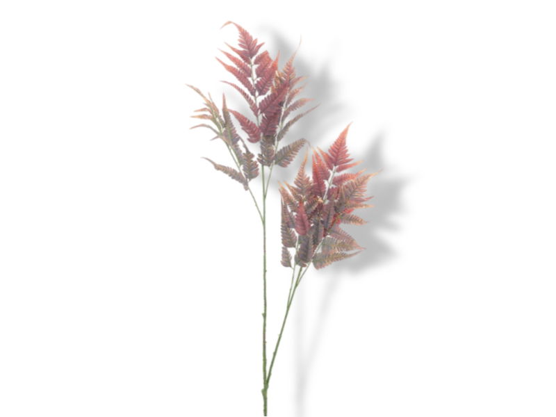 https://cdn.warentuin.nl/media/catalog/product/S/C/SCAN8505497551032_01_hortus_kunstbloem_kunsttak_leather_fern_burgund_9930.jpg