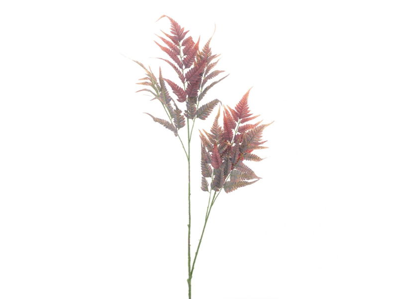 https://cdn.warentuin.nl/media/catalog/product/S/C/SCAN8505497551032_hortus_kunstbloem_kunsttak_leather_fern_burgund_ce6a.jpg