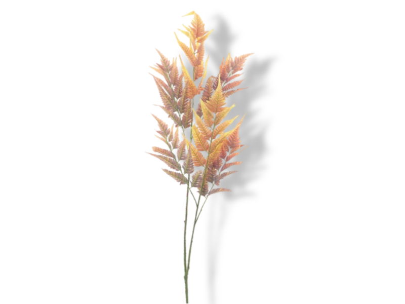 https://cdn.warentuin.nl/media/catalog/product/S/C/SCAN8505497551056_01_hortus_kunstbloem_kunsttak_leather_fern_orange__fdb9.jpg