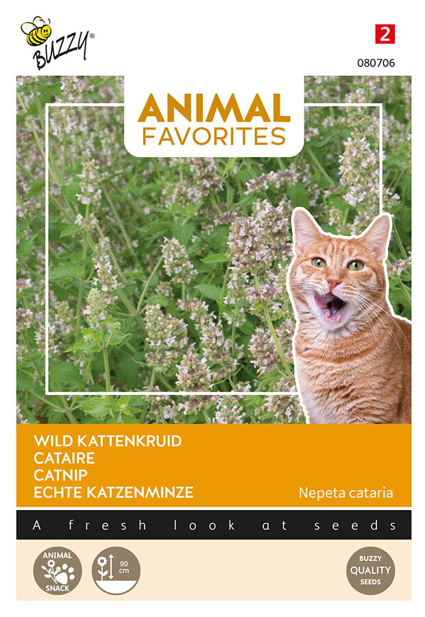 https://cdn.warentuin.nl/media/catalog/product/S/C/SCAN8710796807067_thema_series_tuinzaden_animal_favorites_kattenkruid_katten_tu_558a.jpg