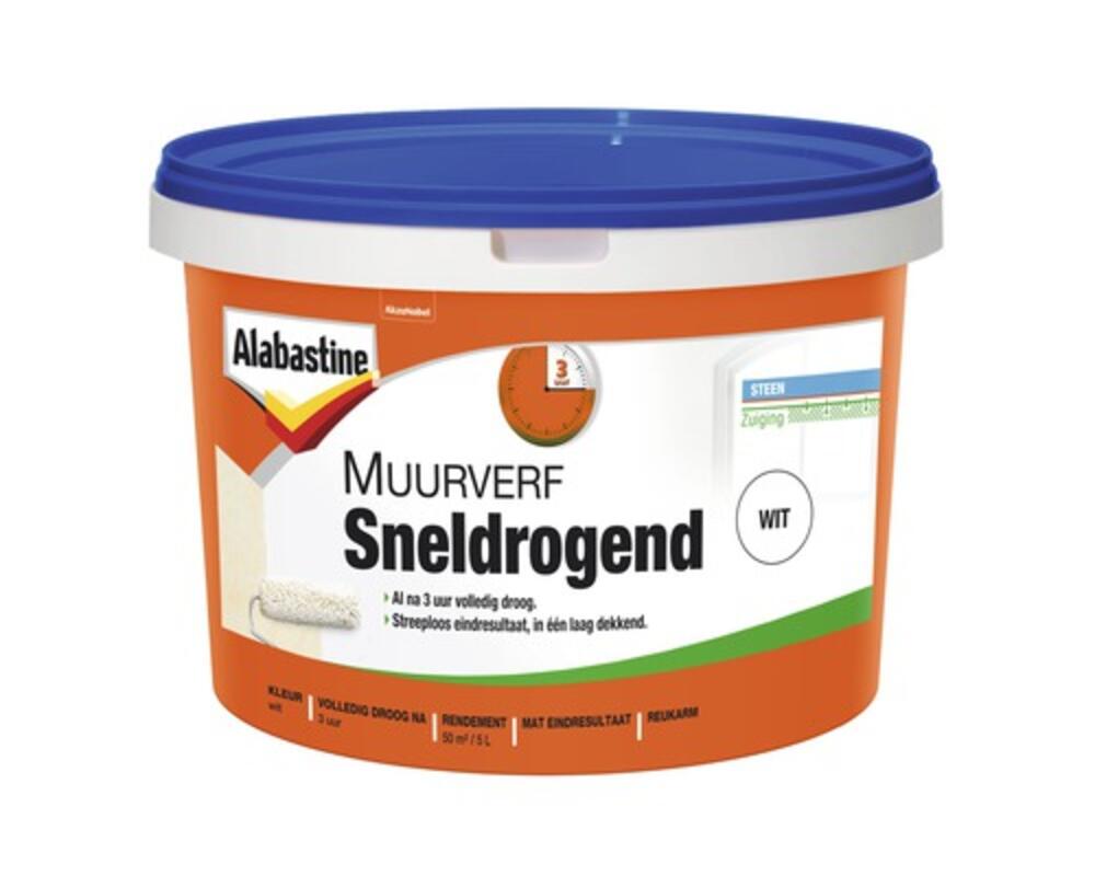 Alabastine muurverf sneldrogend wit 5l Alabastine