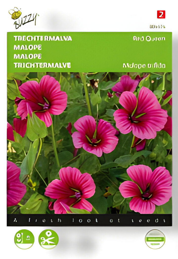 https://cdn.warentuin.nl/media/catalog/product/S/C/SCAN8711117044741_01_buzzy_zaden_malope_trechtermalva_red_queen_1_29ca.jpg