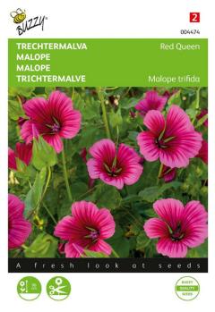 https://cdn.warentuin.nl/media/catalog/product/S/C/SCAN8711117044741_zaden_malope_trechtermalva_red_queen_1_5_gram_buzzy_seeds_54c7.jpg