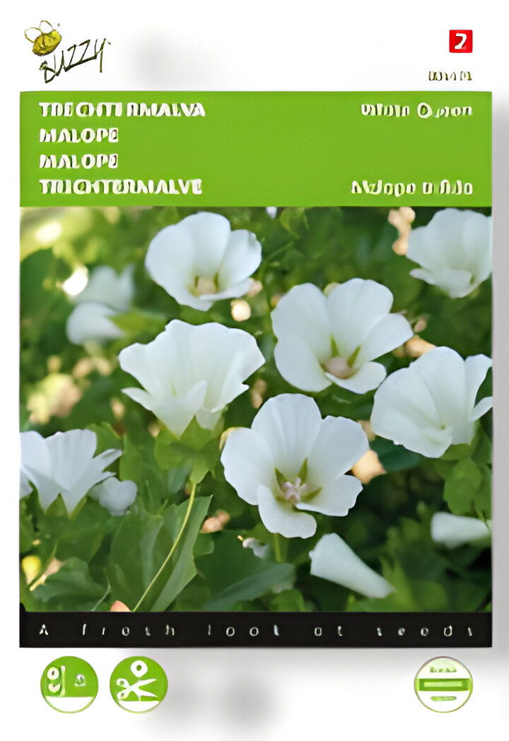 https://cdn.warentuin.nl/media/catalog/product/S/C/SCAN8711117044765_01_buzzy_zaden_malope_trechtermalva_white_queen_046e.jpg