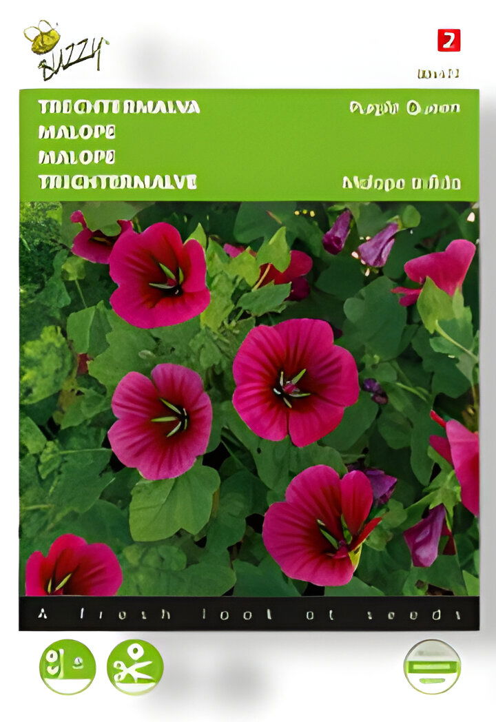 https://cdn.warentuin.nl/media/catalog/product/S/C/SCAN8711117044772_01_buzzy_zaden_malope_trechtermalva_purple_quee_35a4.jpg