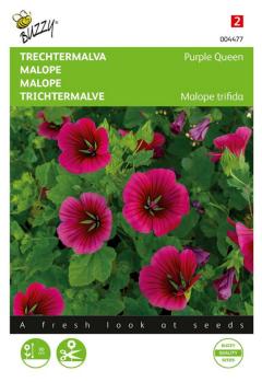 https://cdn.warentuin.nl/media/catalog/product/S/C/SCAN8711117044772_zaden_malope_trechtermalva_purple_queen_1_5_gram_buzzy_seeds_adc1.jpg