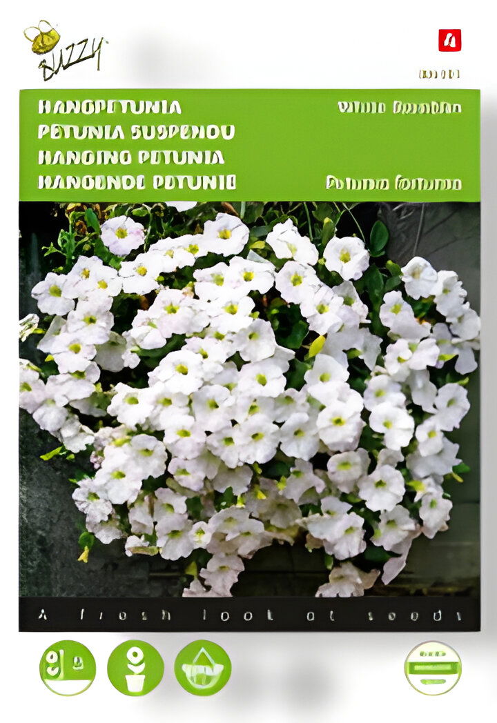 https://cdn.warentuin.nl/media/catalog/product/S/C/SCAN8711117045915_01_buzzy_zaden_hangpetunia_white_ramblin_25_zad_23ed.jpg