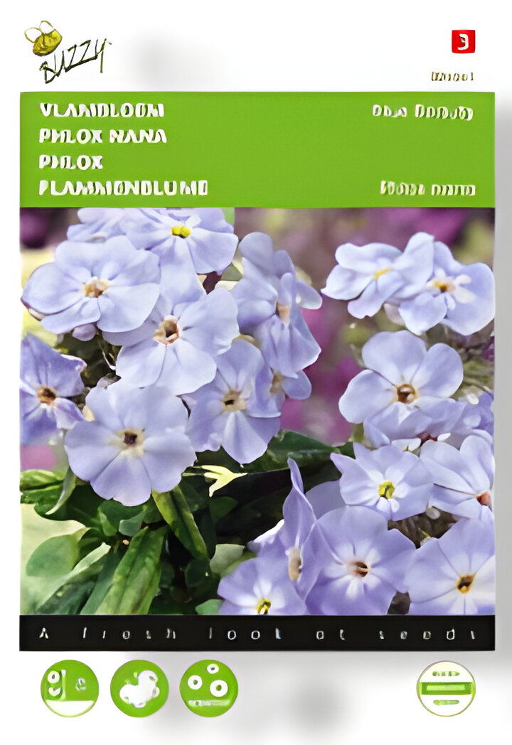 https://cdn.warentuin.nl/media/catalog/product/S/C/SCAN8711117046417_01_buzzy_zaden_phlox_vlambloem_blue_beauty_0_4__5b19.jpg