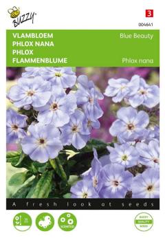 https://cdn.warentuin.nl/media/catalog/product/S/C/SCAN8711117046417_zaden_phlox_vlambloem_blue_beauty_0_4_gram_buzzy_seeds_7410.jpg