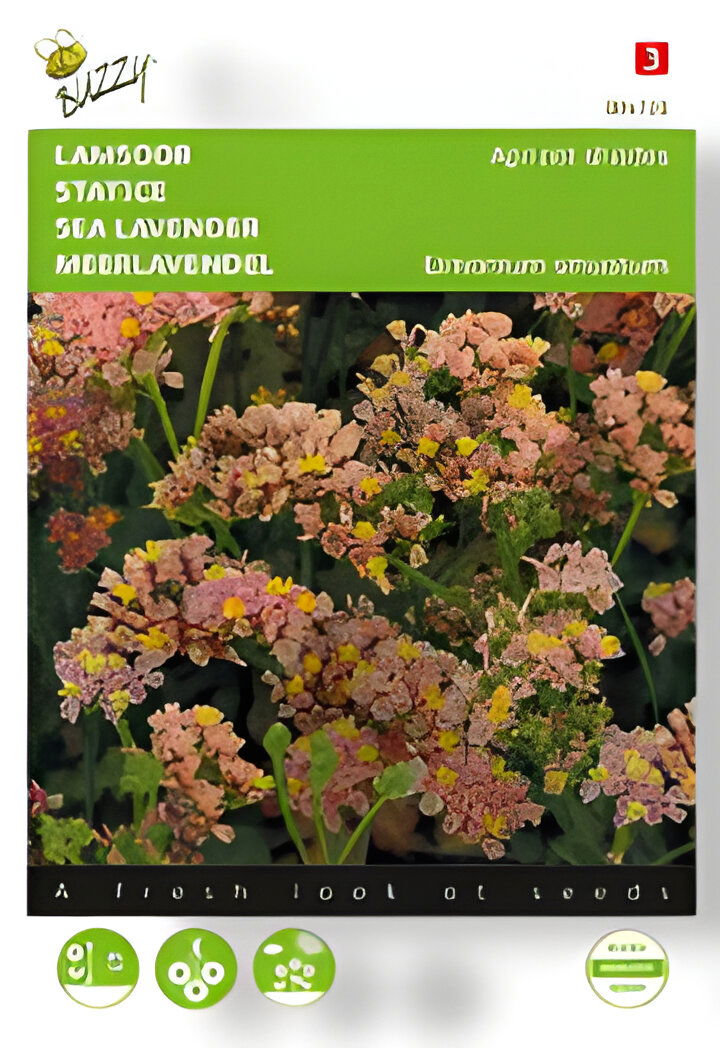 https://cdn.warentuin.nl/media/catalog/product/S/C/SCAN8711117047285_01_buzzy_zaden_limonium_lamsoor_apricot_shades__6f80.jpg