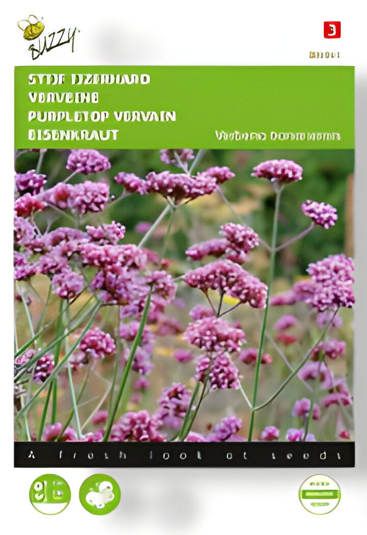 https://cdn.warentuin.nl/media/catalog/product/S/C/SCAN8711117048411_01_buzzy_zaden_verbena_stijf_ijzerhard_0_4_gram_ee0e.jpg