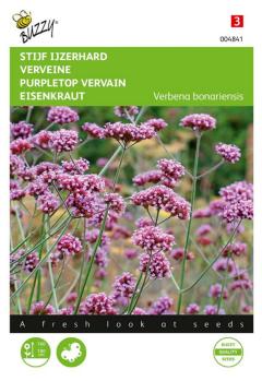 https://cdn.warentuin.nl/media/catalog/product/S/C/SCAN8711117048411_zaden_verbena_stijf_ijzerhard_0_4_gram_buzzy_seeds_630e.jpg